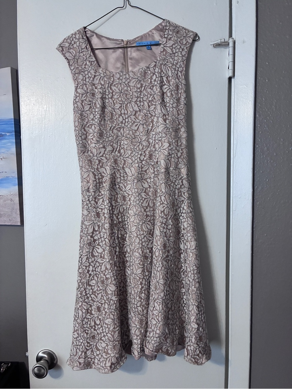 Floral lace Antonio Melani dress